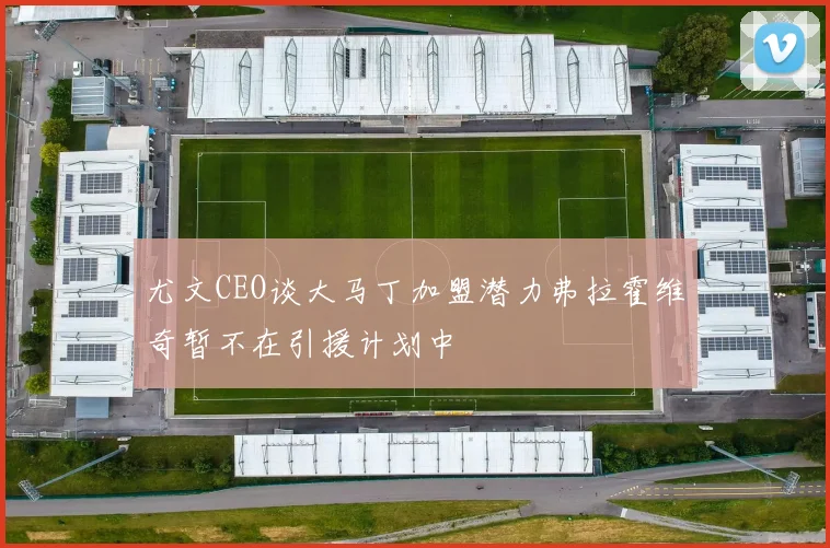 尤文CEO谈大马丁加盟潜力弗拉霍维奇暂不在引援计划中