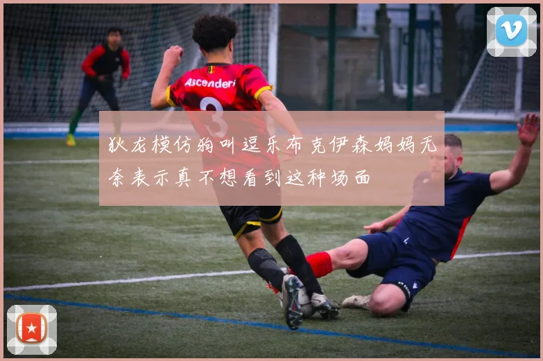 狄龙模仿狗叫逗乐布克伊森妈妈无奈表示真不想看到这种场面